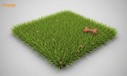 Pet Artificial Grass