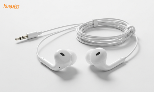 Wired Earbuds
