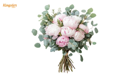 peony Bouquets
